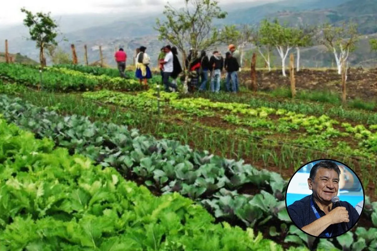 Plantilla para fotos el tribuna (1)